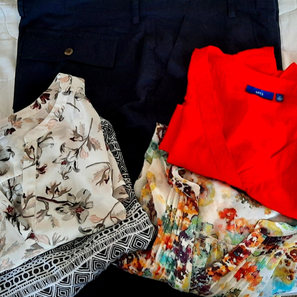 4 blouses with 1 pair work/casual pants